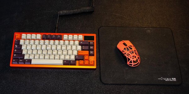 Meletrix Zoom 75 & WLmouse BeastX Mini.jpg