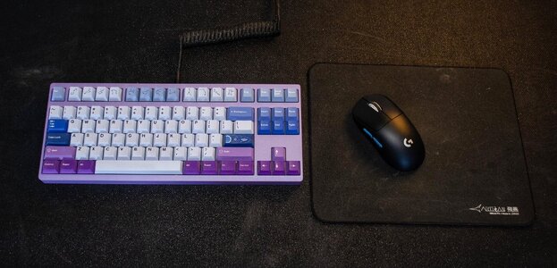 Meletrix Zoom TKL & Logitech G Pro X Superlight.jpg