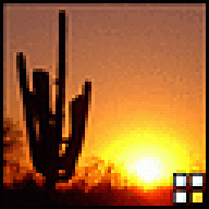 Desert Dave