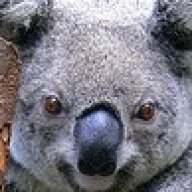 DropBear