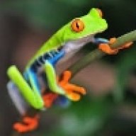 ClockworkTreefrog