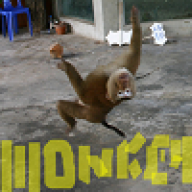 chippymonkey