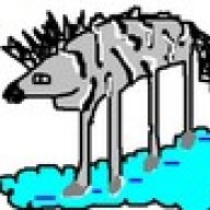 Flying Zebra