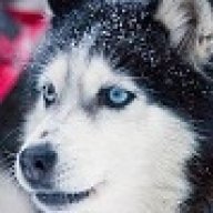 HuskyJ