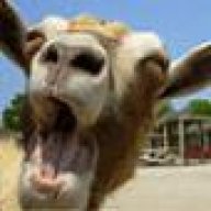seogoat