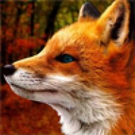 Ancient_Fox