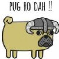 Dova-Pug