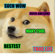 xd memebot