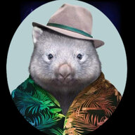 Dave the Wombat