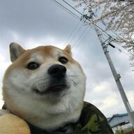 Pyroge