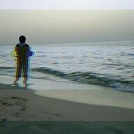 Marwan wael