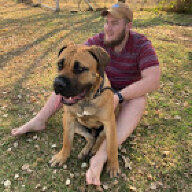 BoerboelP