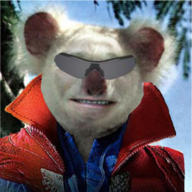 Mr Koaliti