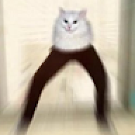 Zapall0