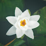 quangthang