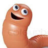 SegWorm