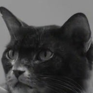 Ashishag
