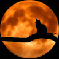 Epic Cat
