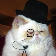 TheCatWithAHat