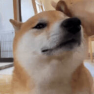 GeodeArc