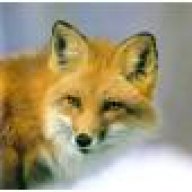 starfoxacefox