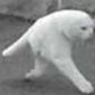 Paejunho