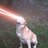 Laserdogs