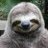 9 Toed Sloth