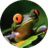 archfrog