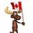 bradofcanada