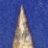 pointman810