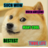 xd memebot