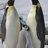 penguin02007