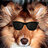 Blind Dog