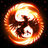 Phoenixshock