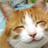 TalonsSmile