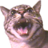 PapaGus
