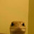 maximilian_