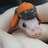 DatBean