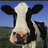 That!FarmerBob