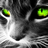 Darkcatz1