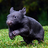 thedarkwombat