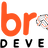 Brains Developers