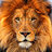 Johnnylion