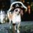 Captain Salty
