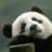 pandafan