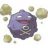 KOFFING