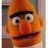 bert42