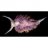 embryo 3
