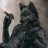 deadwolf